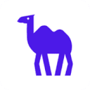 CAMEL-AI logo